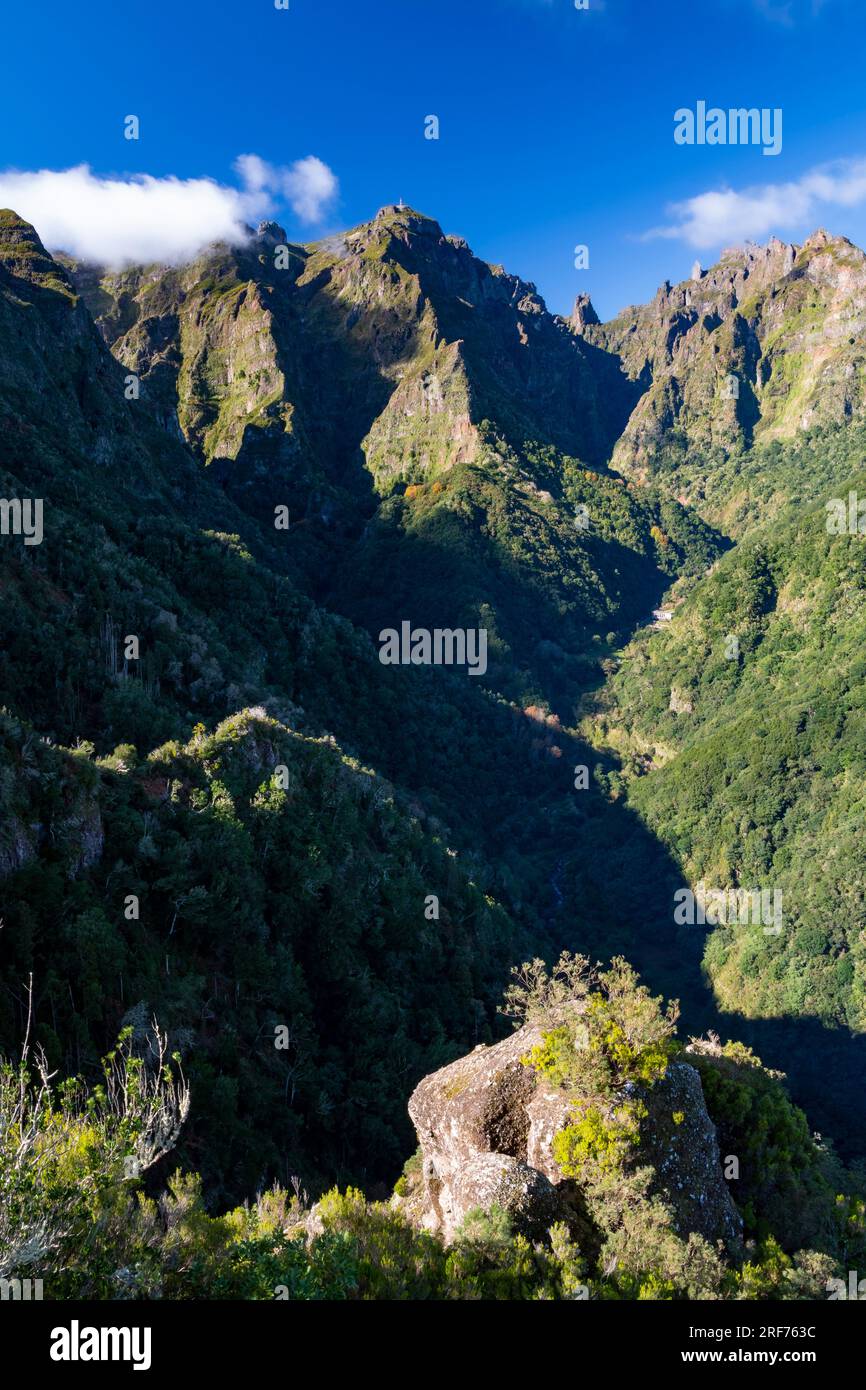 Blick von Aussichtspunkt auf das Bergmassiv, Ribeiro Frio, Insel Madeira, Portugal Stockfoto