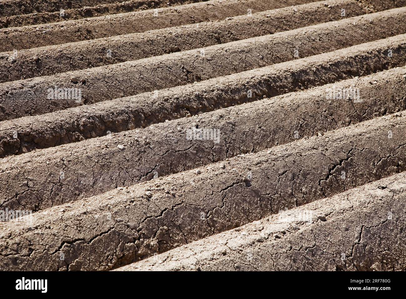 Ein frisch gepflügtes Feld in der Landwirtschaft, Spargelanbau, Gemüseanbau, Stockfoto