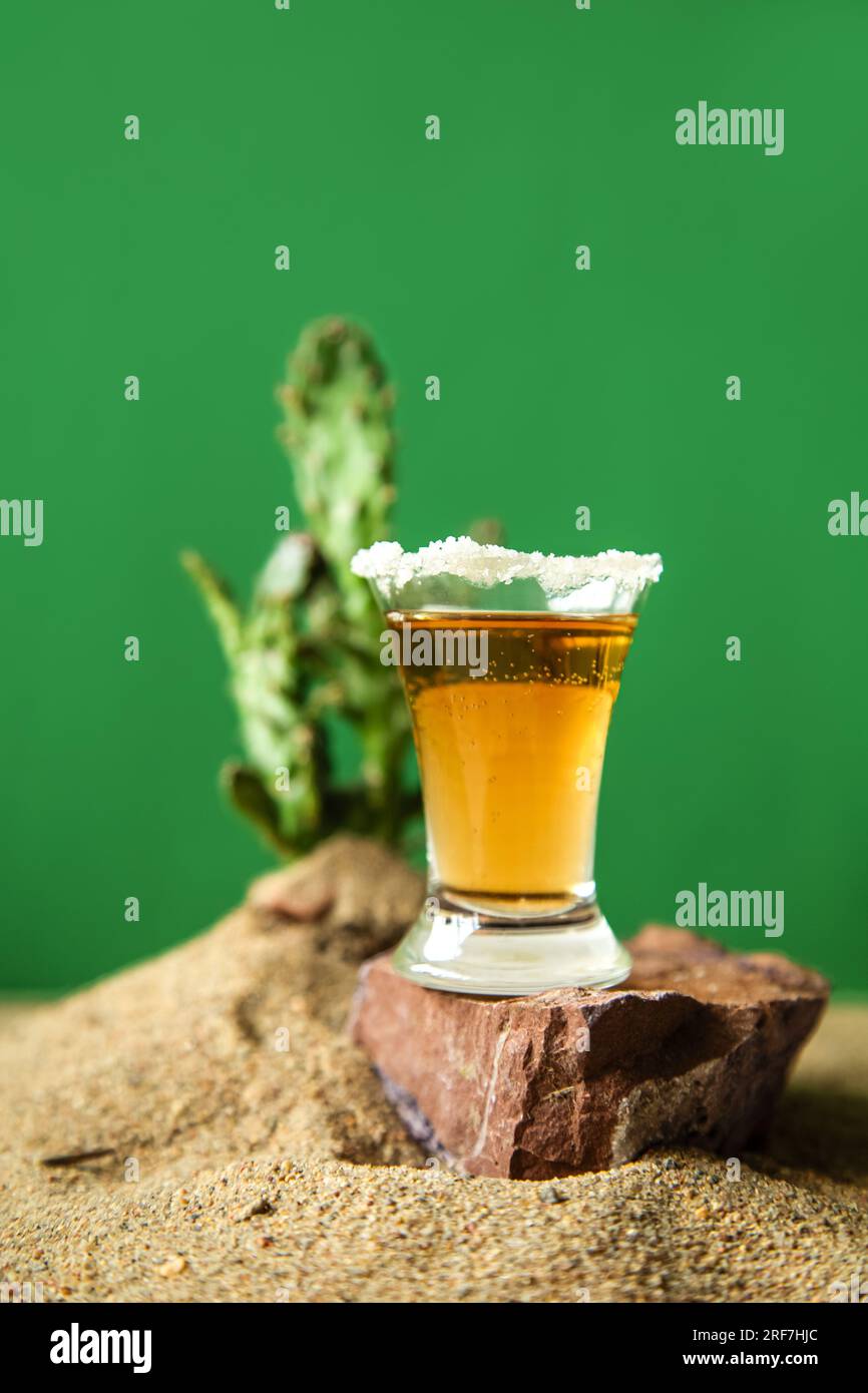 Ein Schuss mexikanischer Tequila mit Limette und Salz zwischen Sanddünen und Kakteen. Grüner Hintergrund. Stockfoto
