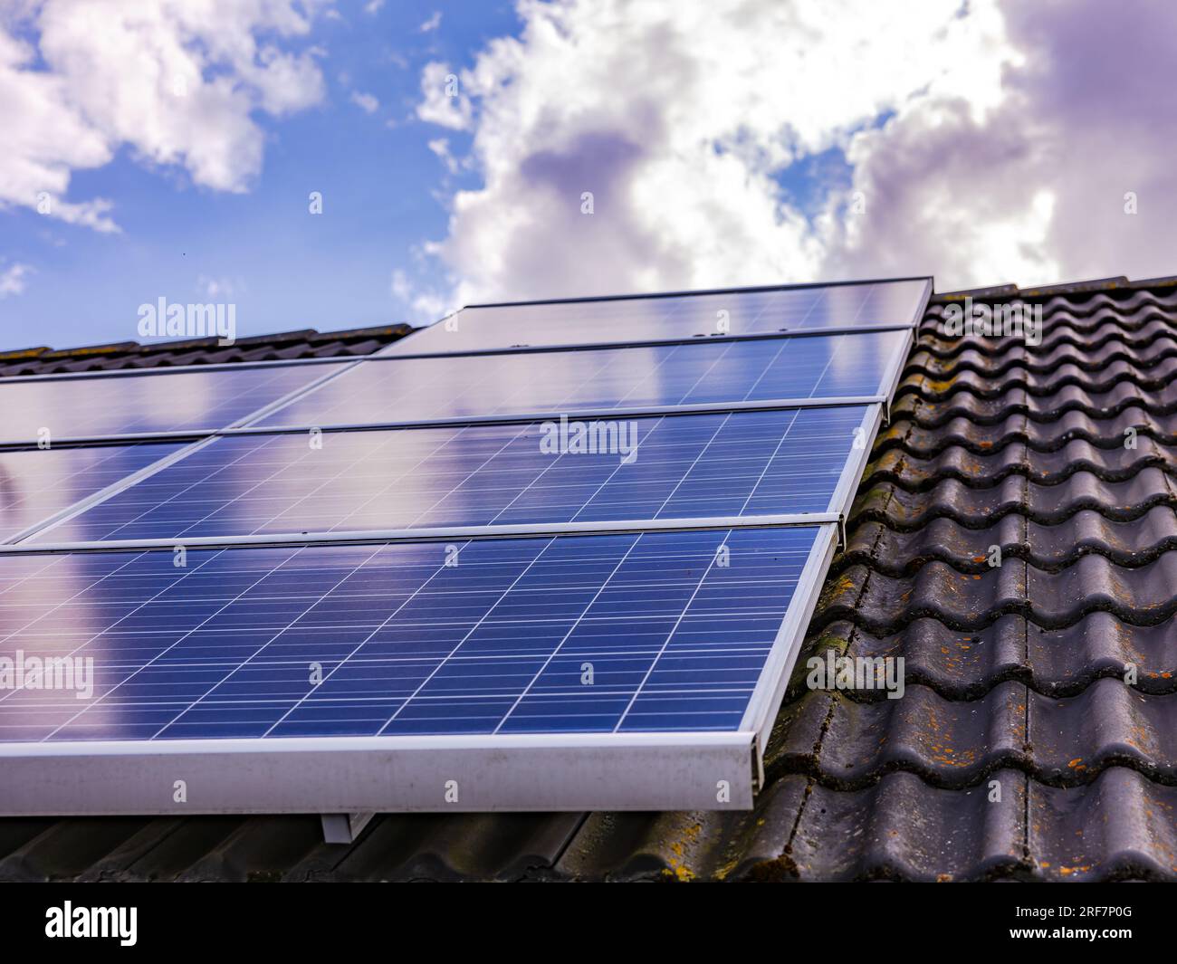 Photovoltaikmodule für die Stromerzeugung auf einem Hausdach mit Moos und Flechten auf den