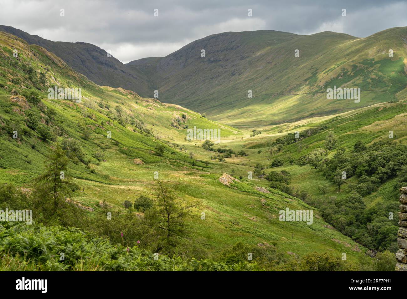 Landschaft im Lake District, England, Großbritannien, Europa | Lake District Landscape, England, Vereinigtes Königreich Großbritannien, Europa Stockfoto