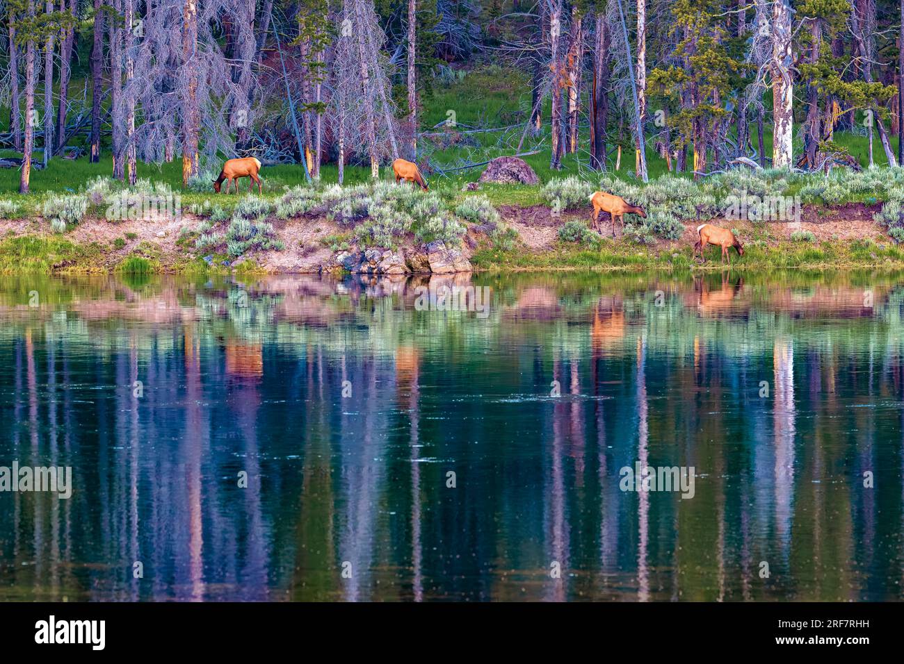 Noch ein Tag Stockfoto