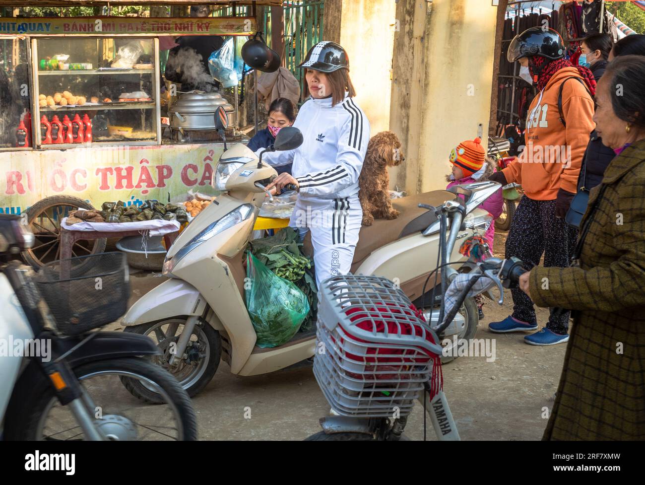 Eine vietnamesische Frau, die einen falschen Adidas-Trainingsanzug trägt, führt ihr Motorrad mit Hund auf dem Rücksitz durch Menschenmassen auf einem belebten Markt in Mai Chau, Stockfoto