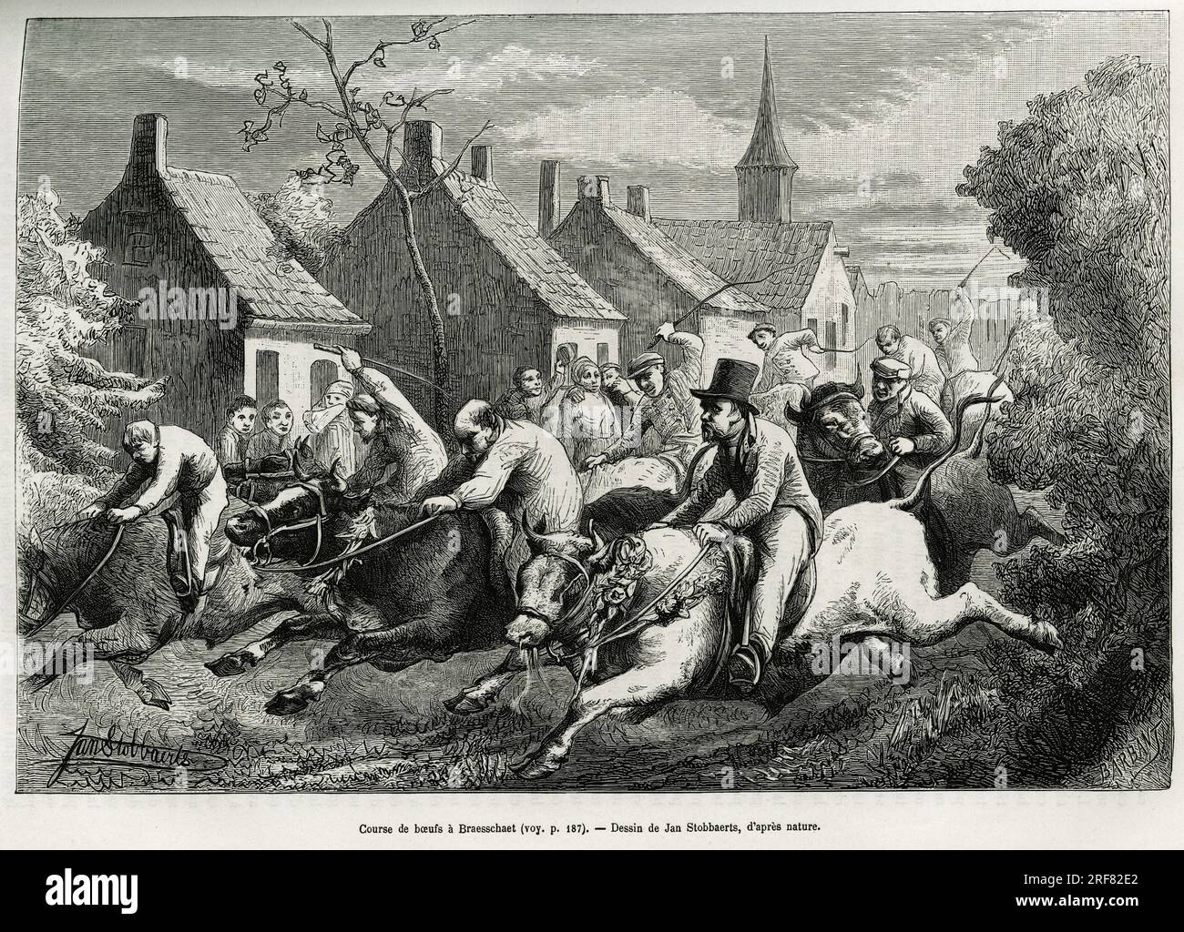 Course de Boeufs a Braesschaet, Village de Polder, pour Celebrer l'animal Employe a tous les travaux penibles, il est alors pare de guirlands de fleurs, monte par son bouvier pour une Course a travers le Village et sous les encouragements de la foule. Gravure de Jan Stobbaerts, pour Illustrator le recit la Belgique, par Camille Lemonnier, publie dans le Tour du Monde, sous la direction d'Edouard Charton ( 1807-1890), 1882, Paris. Stockfoto