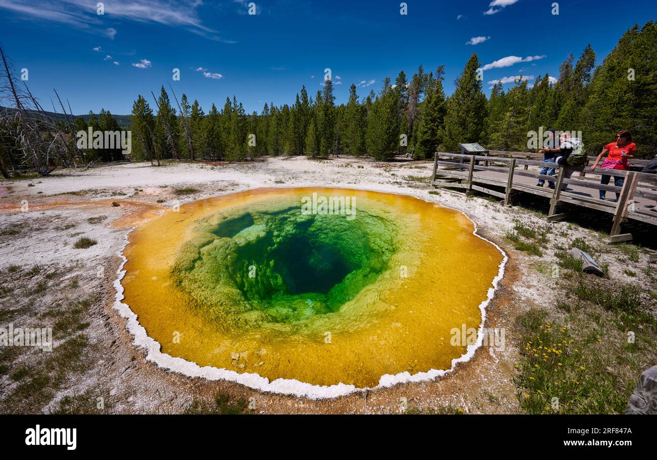 Morning Glory Pool, Upper Geyser Basin, Yellowstone National Park, Wyoming, Vereinigte Staaten von Amerika Stockfoto
