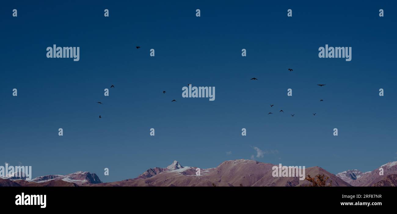 Vögel über den Bergen, Panoramablick auf Kirgisistan Stockfoto