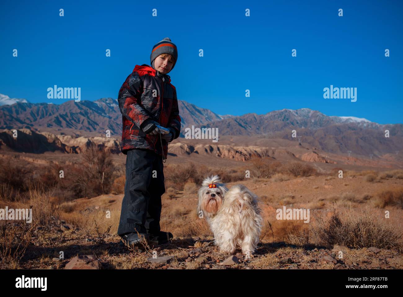 Kind mit Kamera in den Händen und Shih Tzu-Hund, der auf dem Hintergrund der Berge steht Stockfoto