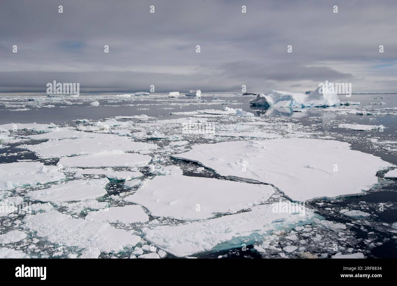 Kreuzfahrtschiff segelt durch die Meereslandschaft von Eisdecken im südlichen Ozean, Antarktis Stockfoto