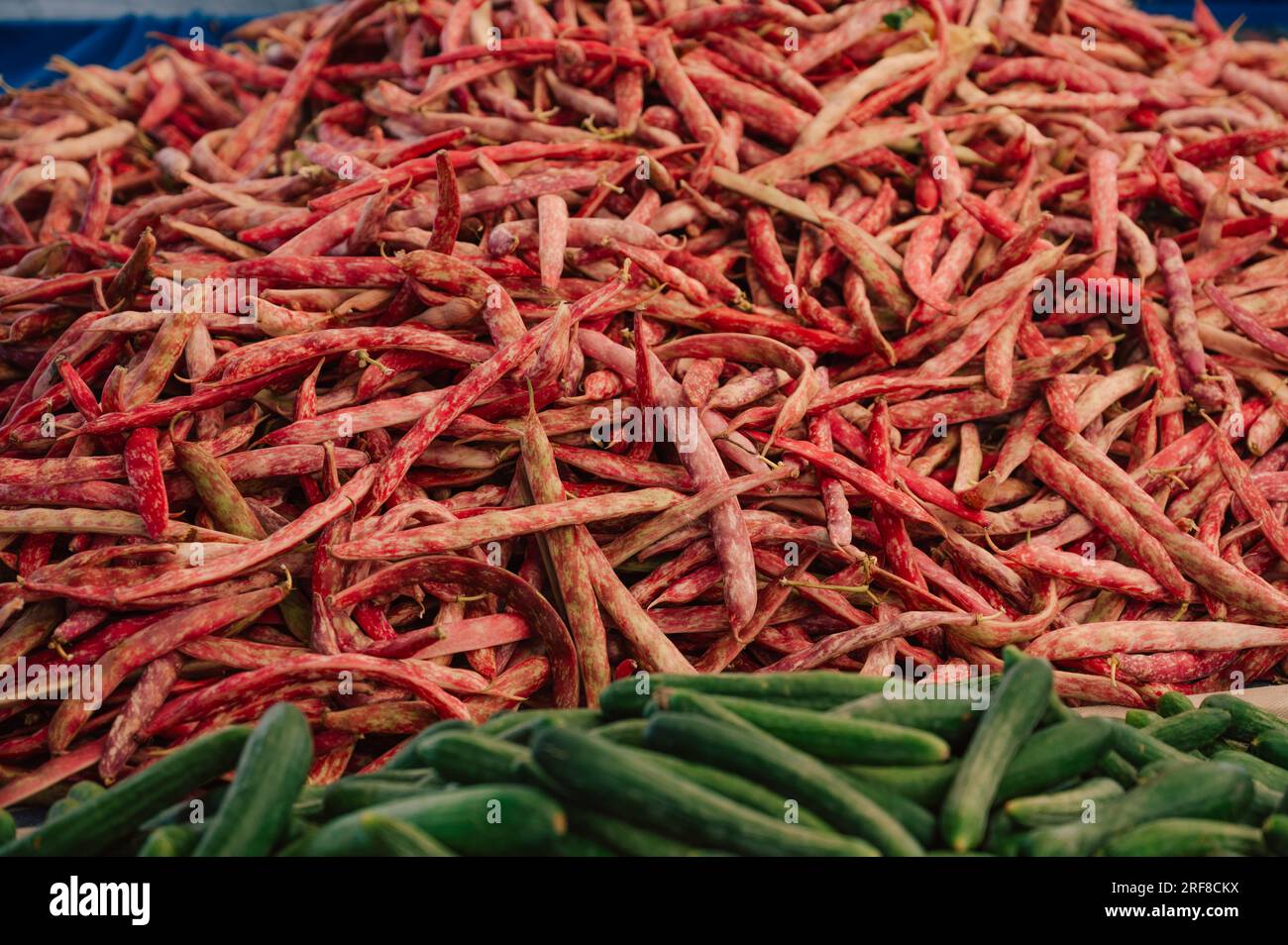 Verkauf roter Bohnen auf dem traditionellen türkischen Bauernmarkt, eine Theke gefüllt mit frischem Obst Stockfoto