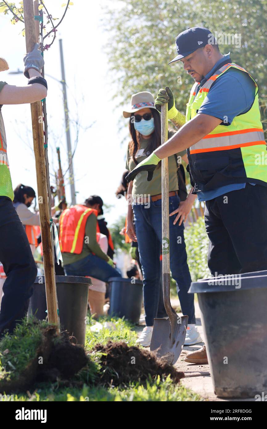 Ehrenamtlicher Mitarbeiter von Beto Gonzales bei einer von TreePeople in San Fernando, Kalifornien, betriebenen Baumpflanzung in Calles Verdes am 26. März 2022. Foto: Raquel G. Frohlich. Stockfoto