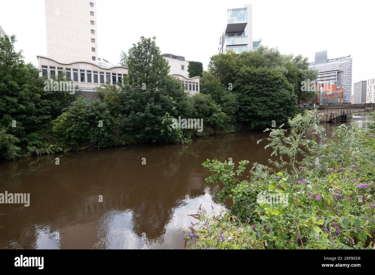 Stadtentwicklung entlang des Flusses Irwell, Salford, Borough of Greater Manchester. Der Fluss trennt Salford und Manchester. Stockfoto