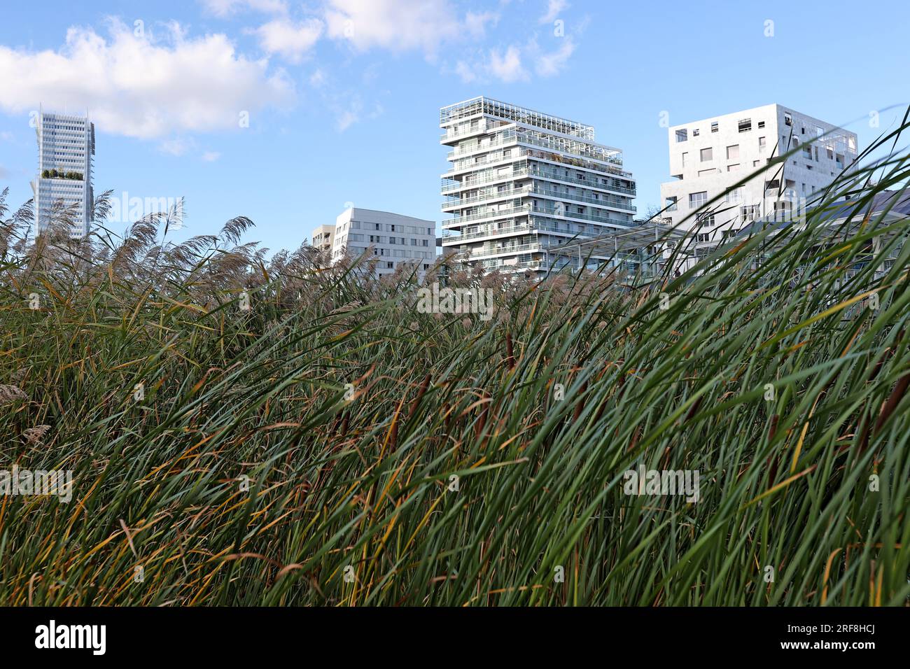 Artenvielfalt in einem Park in Paris, Ile de France, Frankreich. Stockfoto