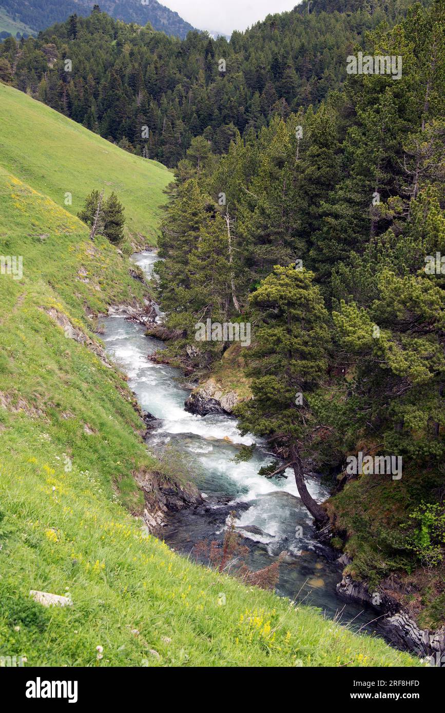 Noguera Pallaresa Oberlauf in Montgarri, Lleida, Katalonien, Spanien. Stockfoto