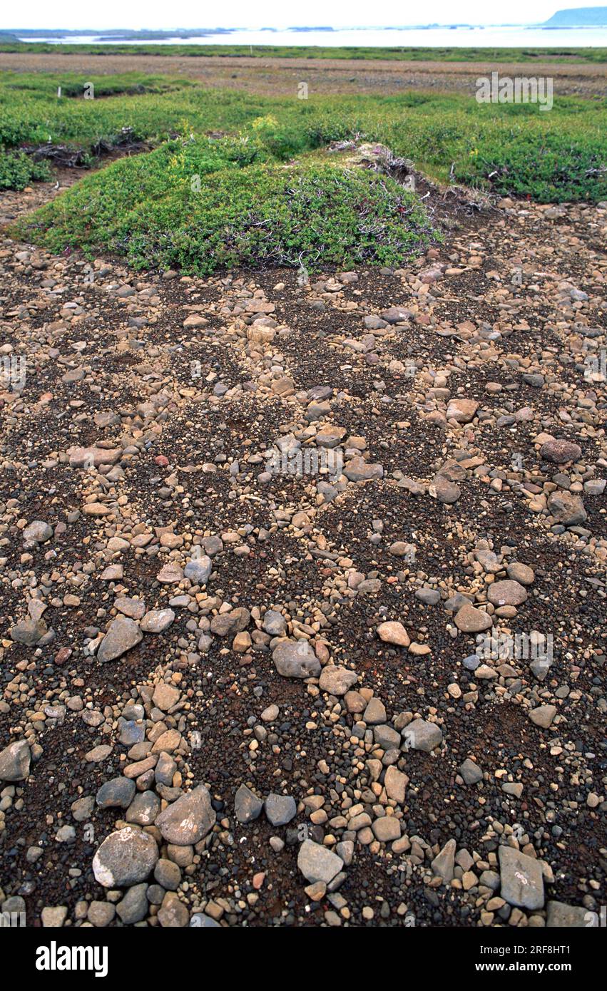 Gemusterter Boden oder polygonaler Boden ist ein natürliches Muster von geometrischen Formen in periglazialen Regionen gebildet. Dieses Foto wurde in Island aufgenommen. Stockfoto