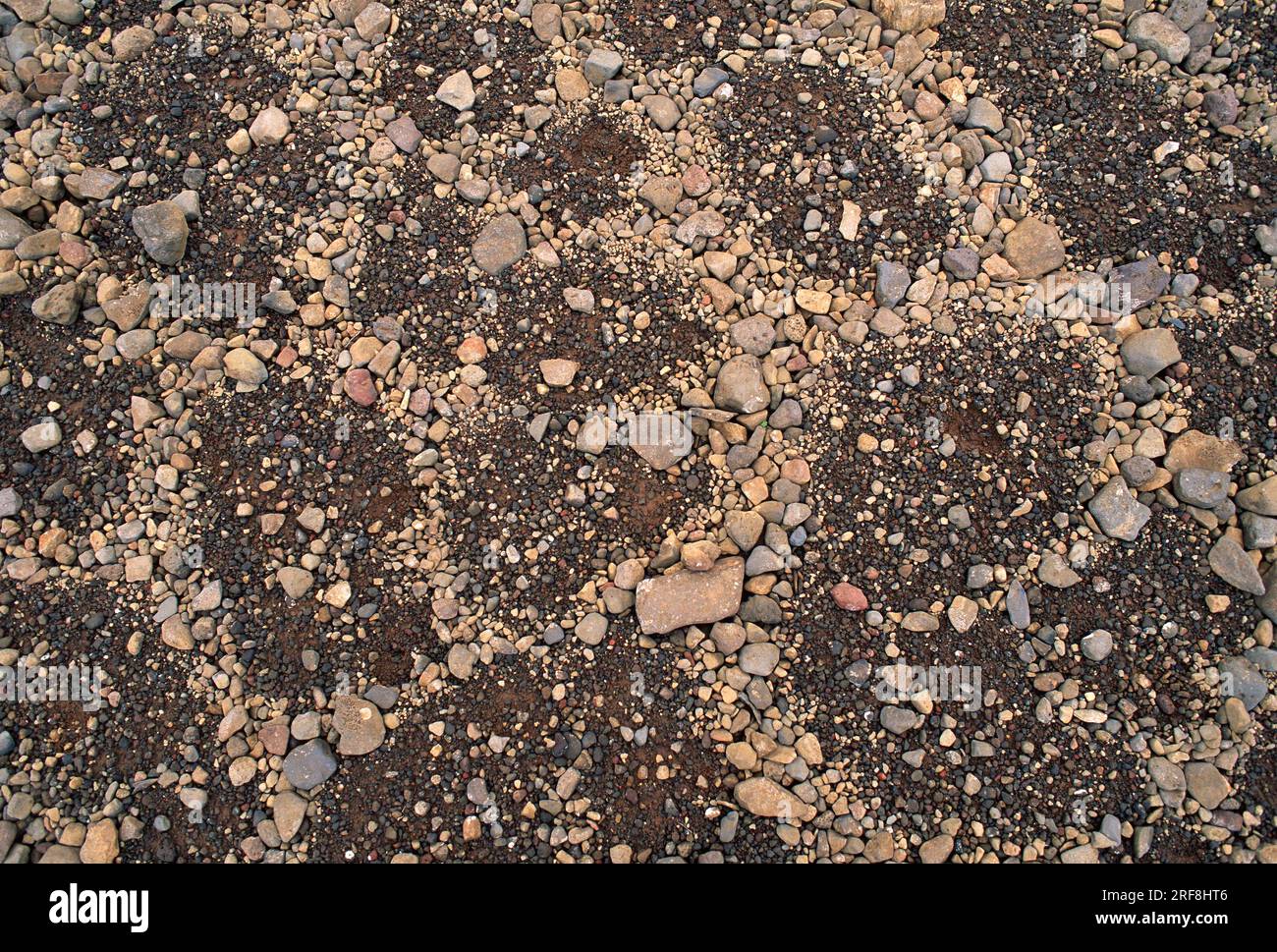 Gemusterter Boden oder polygonaler Boden ist ein natürliches Muster von geometrischen Formen in periglazialen Regionen gebildet. Dieses Foto wurde in Island aufgenommen. Stockfoto