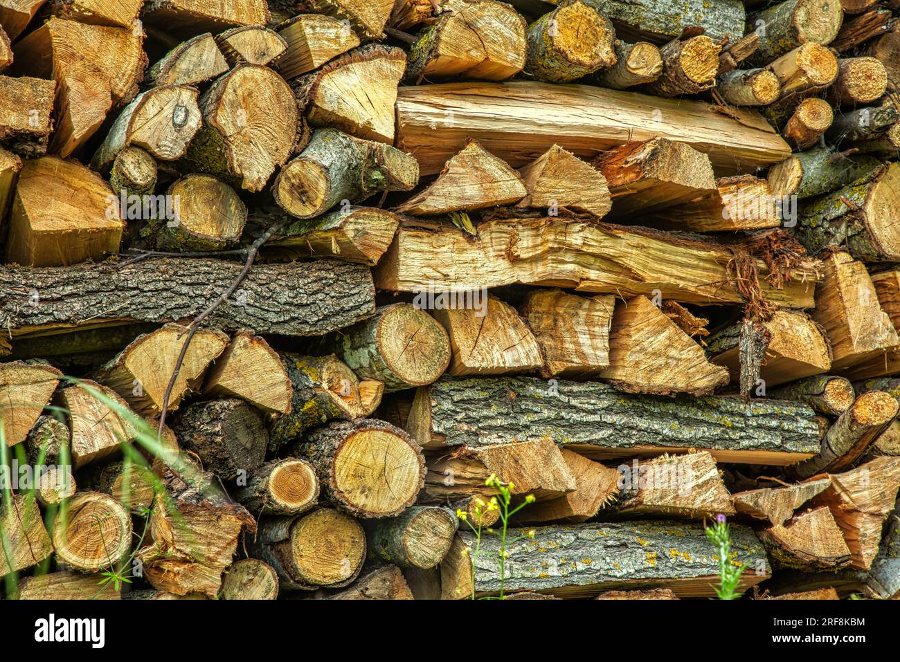 Stapel von Brennholz, erneuerbare Energien Stockfoto