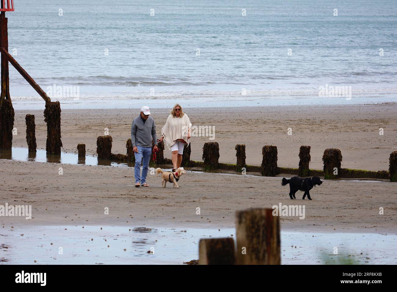 Shanklin, IOW, Großbritannien. 01. August 2023. UK Weather: Besucher von Shanklin auf der Isle of White genießen einen angenehmen Abendspaziergang am Strand. Bildnachweis: PAL News/Alamy Live News Stockfoto