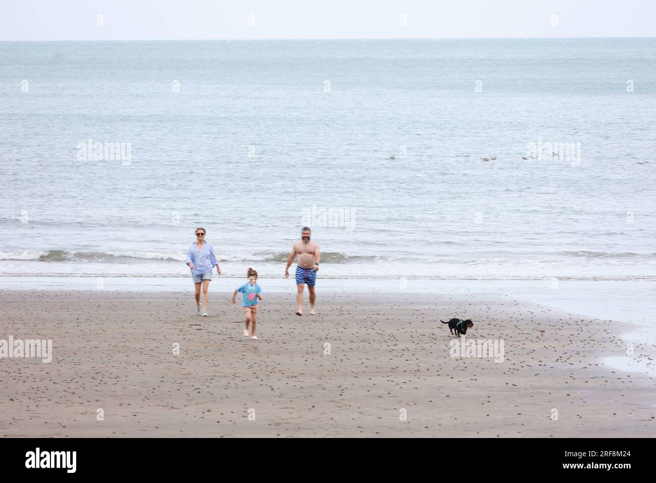 Shanklin, IOW, Großbritannien. 01. August 2023. UK Weather: Besucher von Shanklin auf der Isle of White genießen einen angenehmen Abendspaziergang am Strand. Bildnachweis: PAL News/Alamy Live News Stockfoto