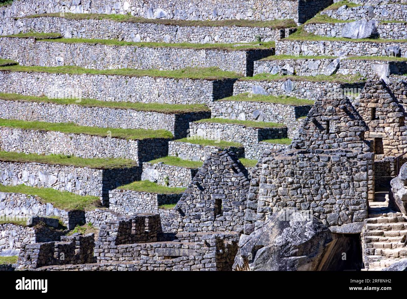 Landwirtschaftliche Terrassen, Inka-Ruinen von Machu Picchu, Peru, Südamerika Stockfoto