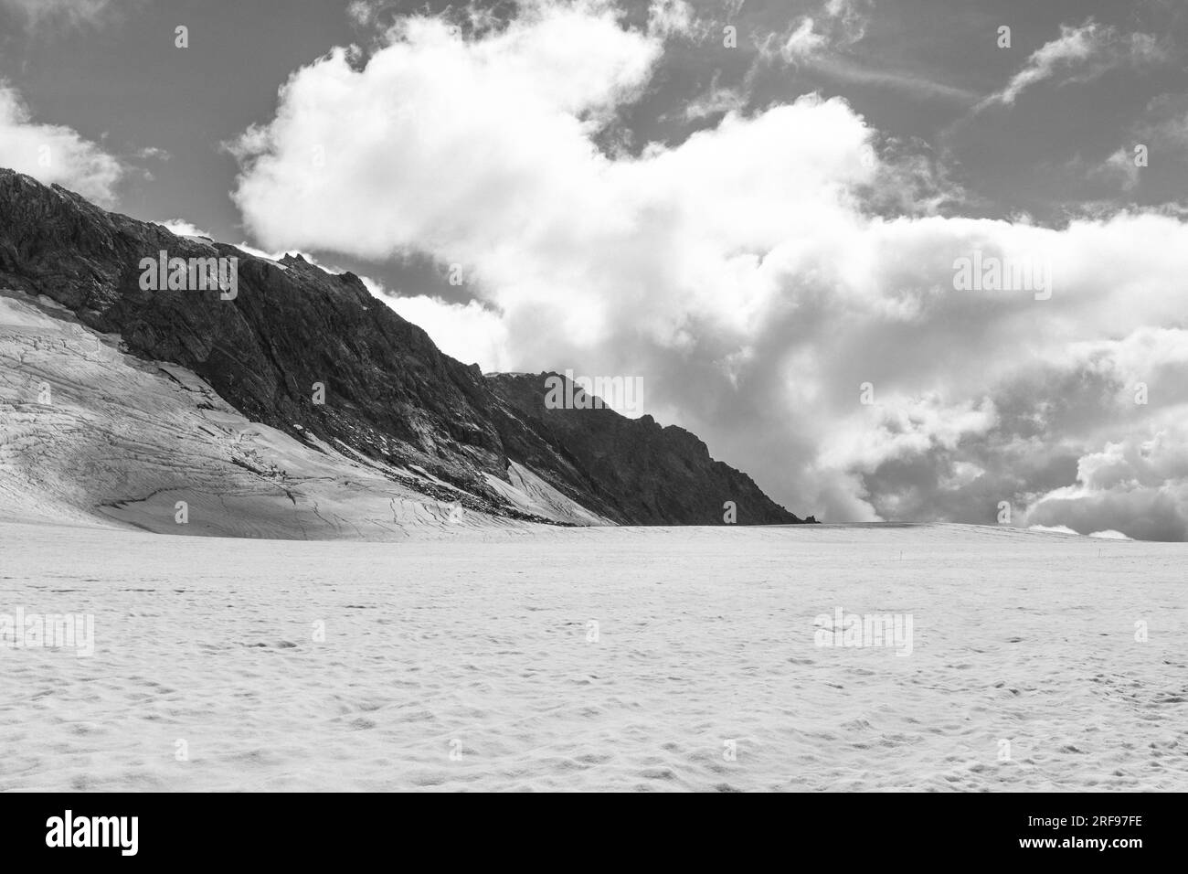 Franz Josef und Fox Gletscher Blick, Neuseeland Stockfoto