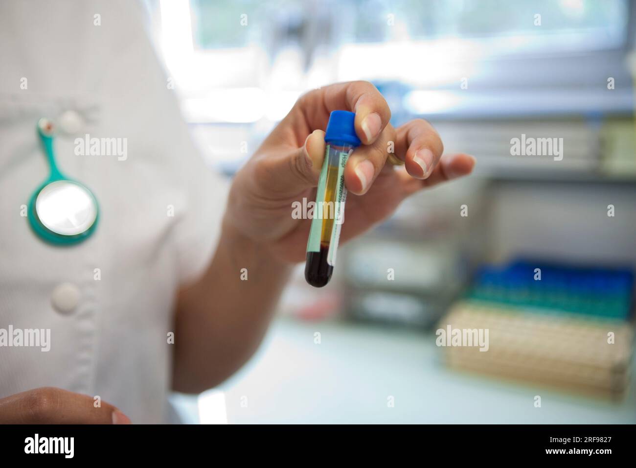 Blutröhrchen nach Zentrifugation im Analyselabor eines Krankenhauses. Stockfoto