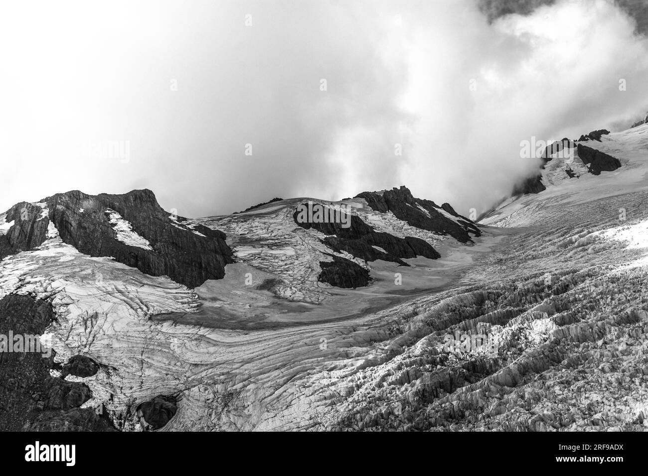 Franz Josef und Fox Gletscher Blick, Neuseeland Stockfoto