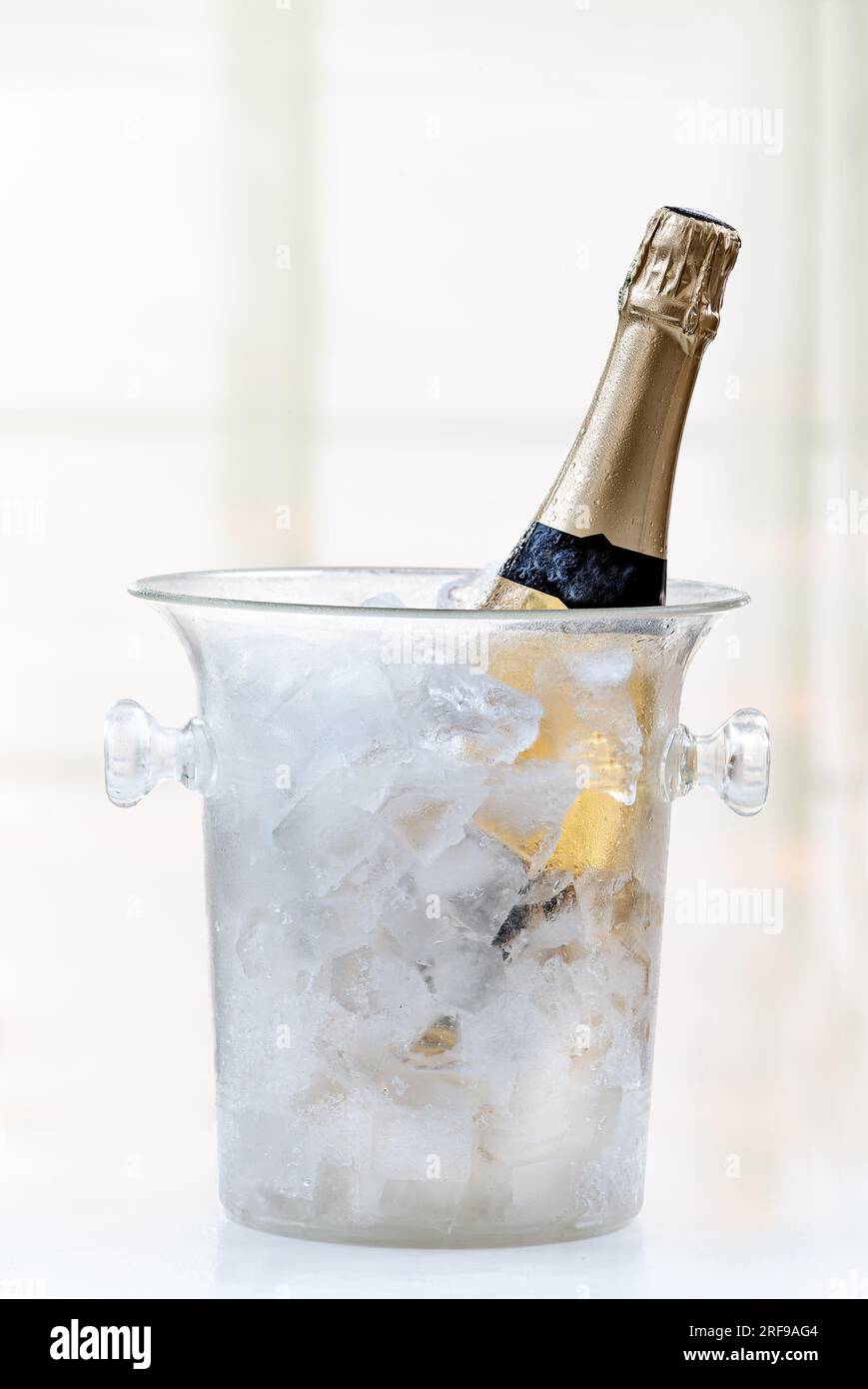 Eine Flasche Champagner in einem Eiskübel. Stockfoto