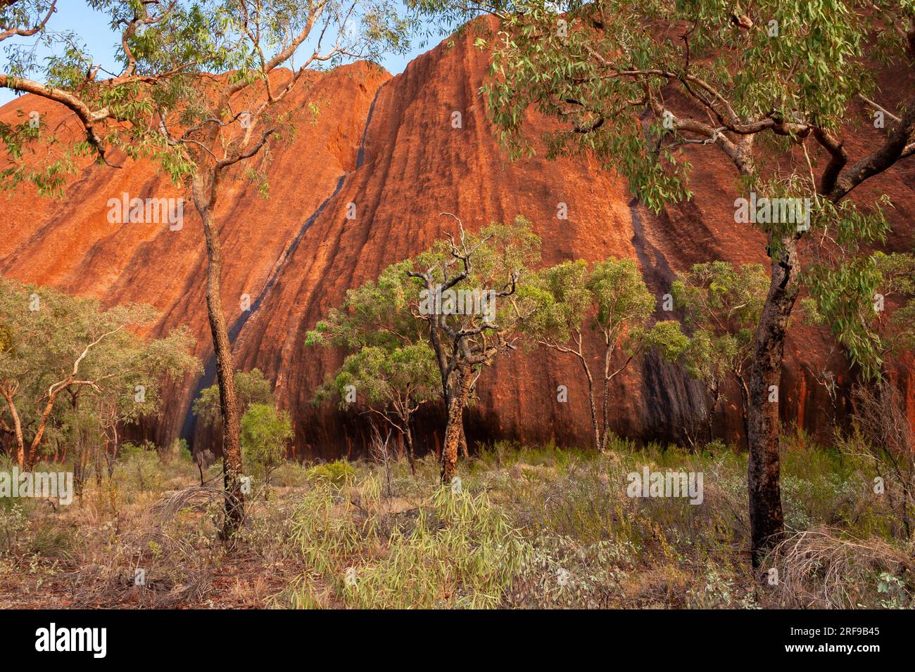 Spaziergang um den Uluru im roten Zentrum des Northern Territory in Australien Stockfoto