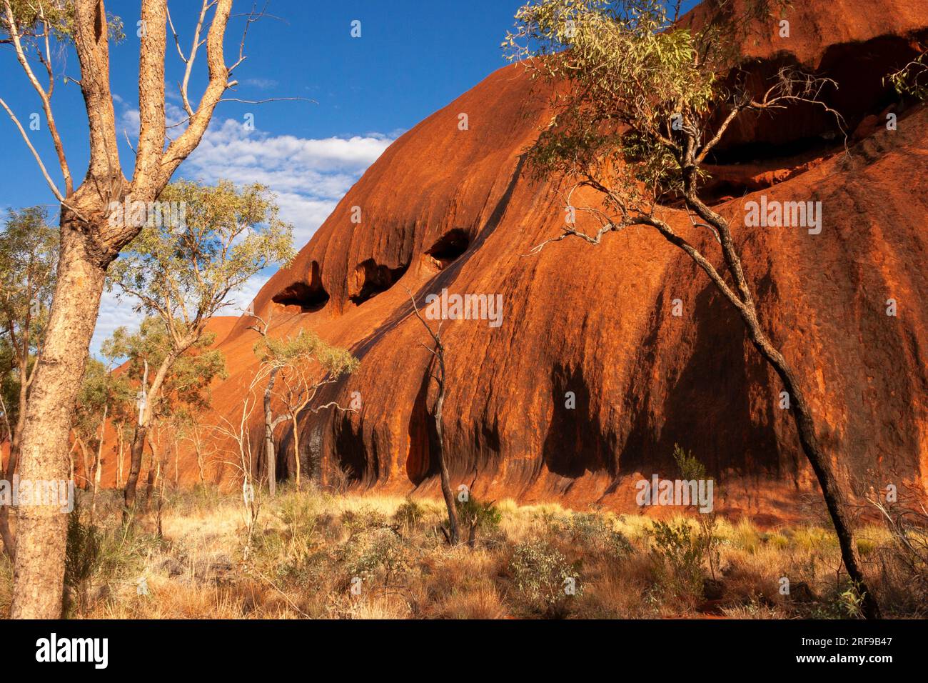 Spaziergang um den Uluru im roten Zentrum des Northern Territory in Australien Stockfoto