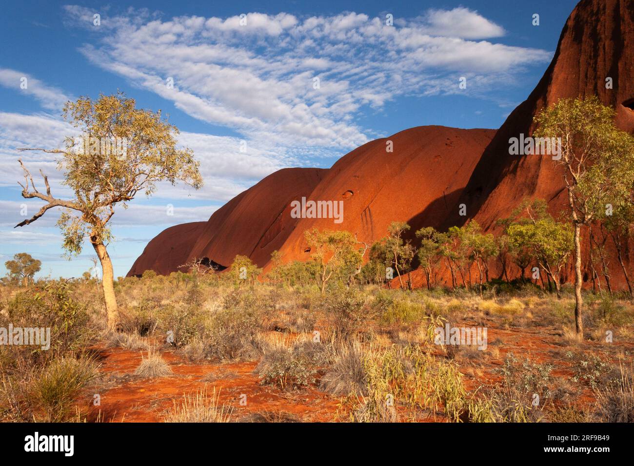 Spaziergang um den Uluru im roten Zentrum des Northern Territory in Australien Stockfoto