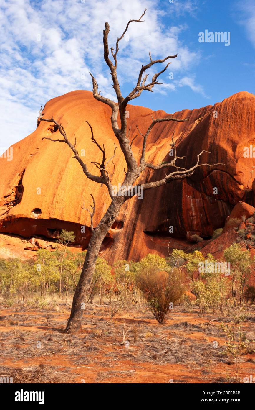Spaziergang um den Uluru im roten Zentrum des Northern Territory in Australien Stockfoto