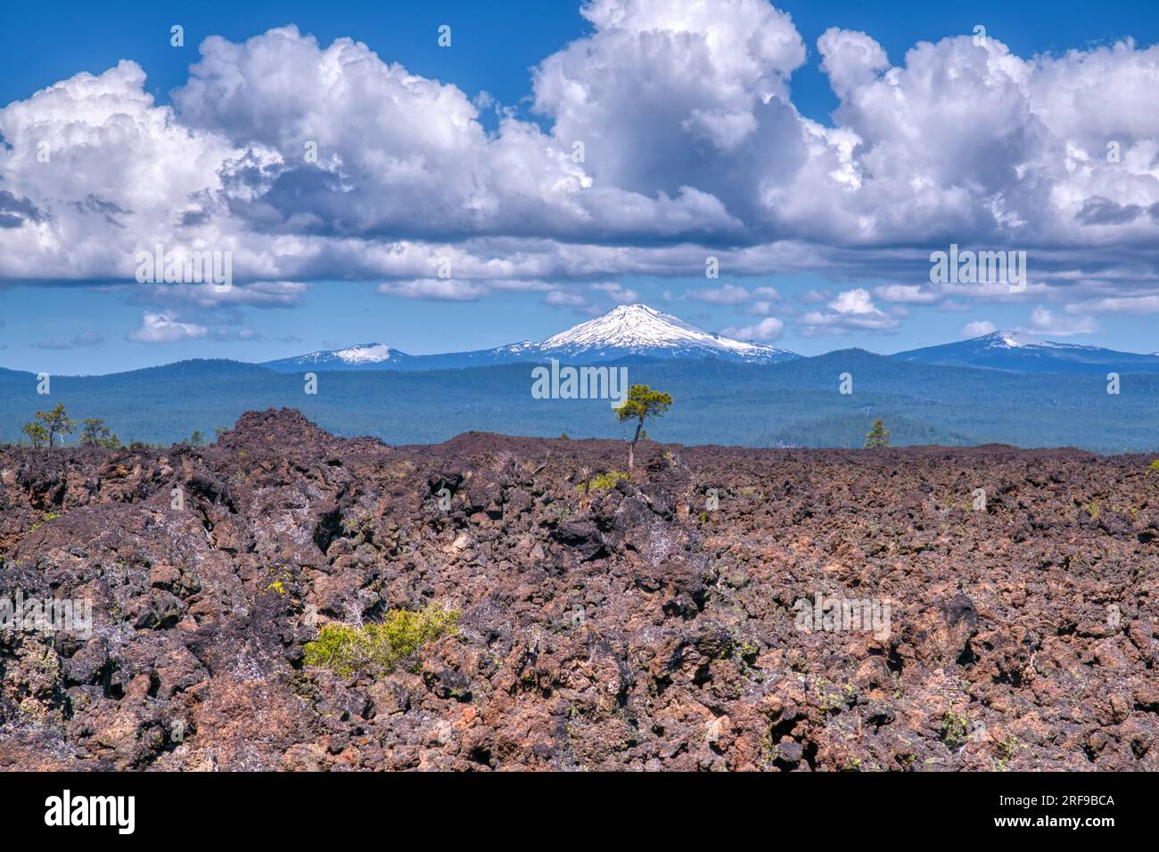 Mount Bachelor von Lava Fields of Lava Lands in Bend, Oregon Stockfoto
