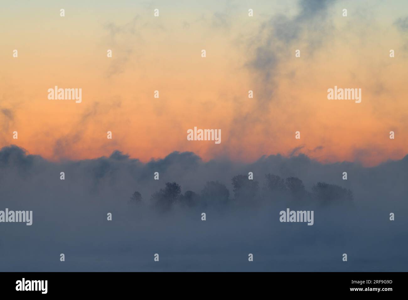 Traumhafte Insel mit einer Gruppe von Bäumen, die aus dickem blauem Meeresrauch an einem extrem kalten Wintermorgen vor der Dämmerung mit dramatischen Wolken und eisigem Übergang entstehen Stockfoto