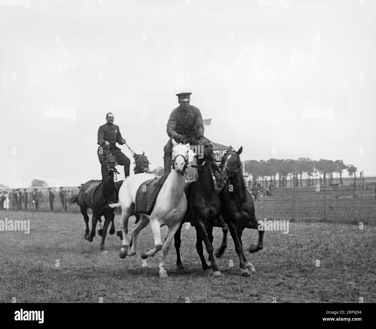New York, New York: Am 31. August 1918 reiten zwei Berggeiter, drei und zwei Pferde, während der letzte Tag der Polizeispiele im Speedway Park in Sheepshead Bay zu Ende geht Die Erlöse werden verwendet, um 16.000 Männer in der Polizeireserve mit Uniformen auszustatten. Sie werden der Stadt New York ohne Bezahlung dienen und die regulären Polizisten ersetzen, die in der Armee oder Navy in Dienst gestellt wurden. Stockfoto
