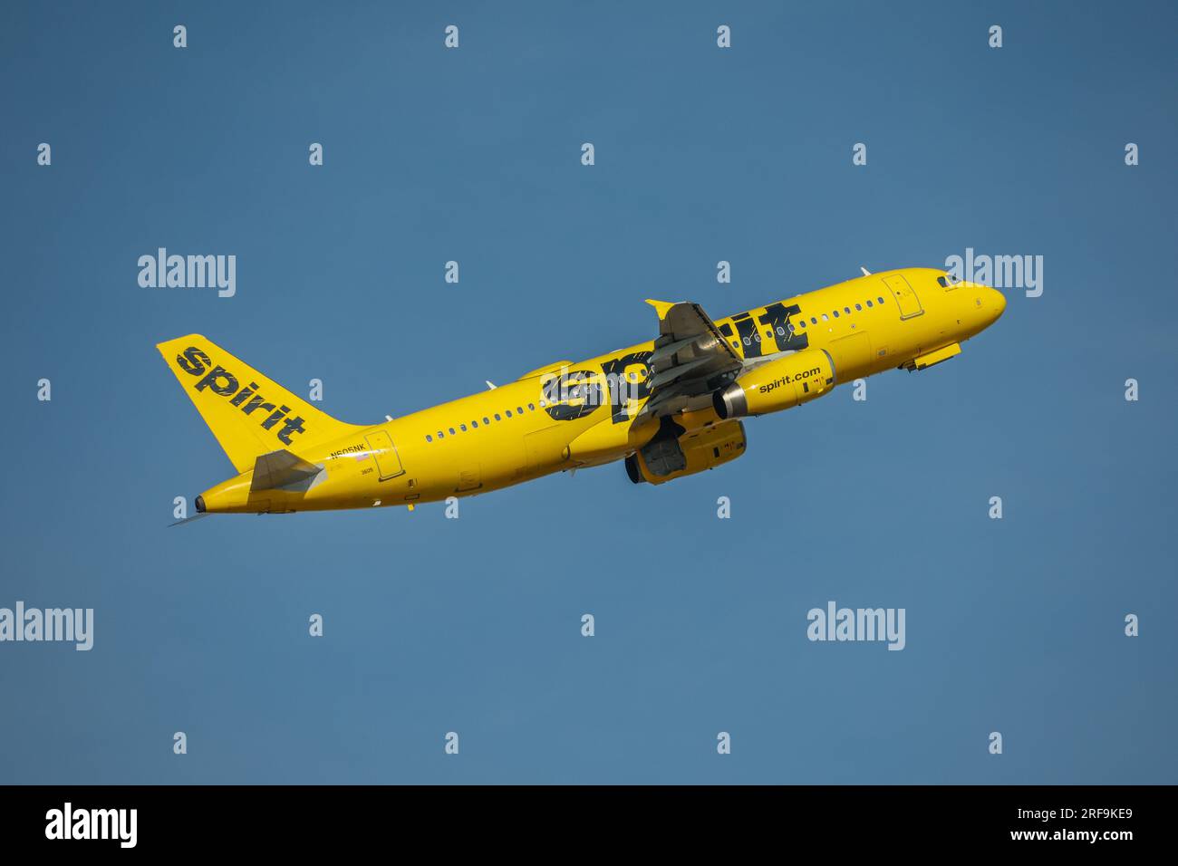 Am 1. August 2023 wird am Dallas-Fort Worth International Airport (DFW) in Dallas Texas in den Vereinigten Staaten ein Spirit-Flugzeug gesehen. Stockfoto