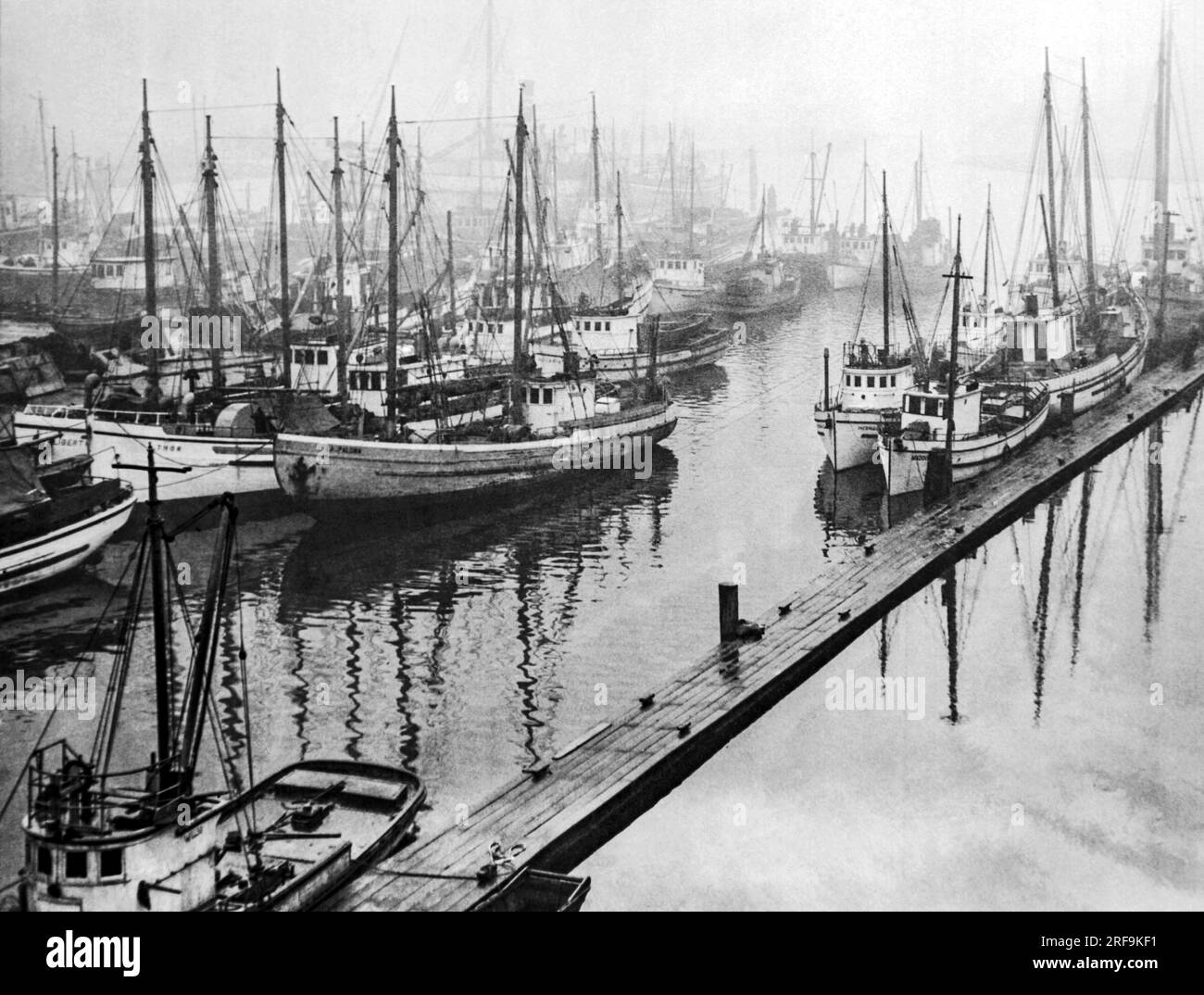 Seattle, Washington, C 1938 die Fangsaison ist vorbei und die Flotte ist in einer nebeligen Salmon Bay am Lake Union untergebracht. Stockfoto