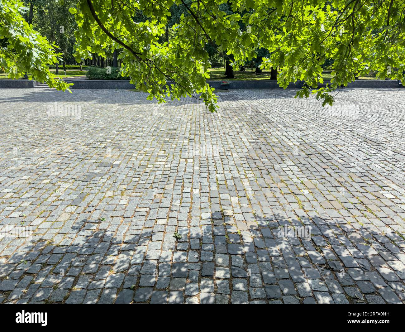 Sommerpark an sonnigen Tagen. Schatten von grünen Bäumen auf einem breiten kopfsteingepflasterten Pfad. Stockfoto