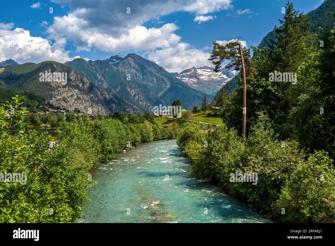 Alpenfluss inmitten der Ufer mit grünen Bäumen als Berge unter wunderschönem Himmel im Aostatal, Italien. Stockfoto