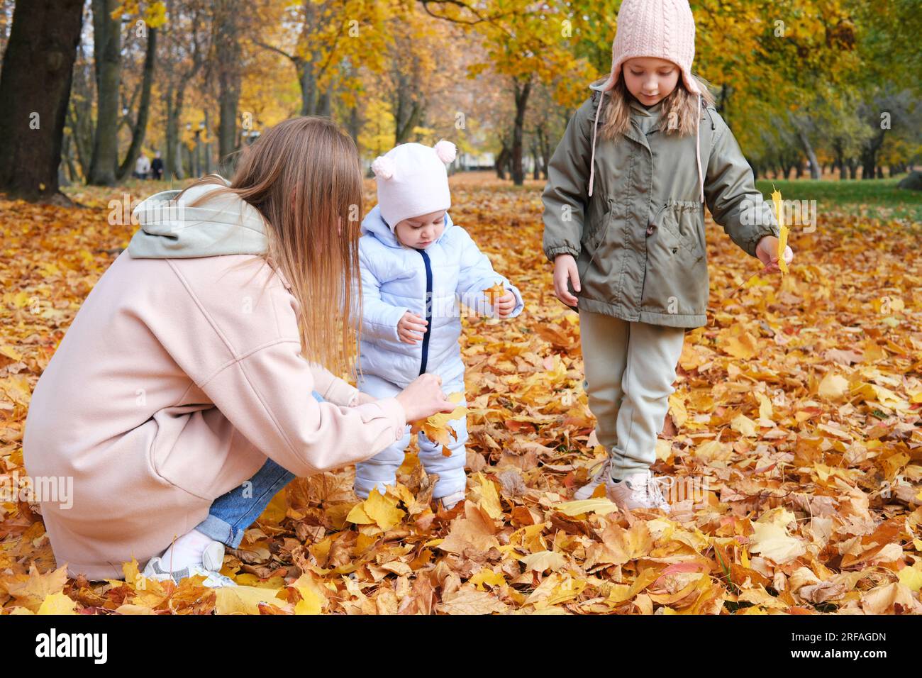 Mutter mit ihren Töchtern, die Blätter im Herbstpark pflücken. Horizontales Foto Stockfoto