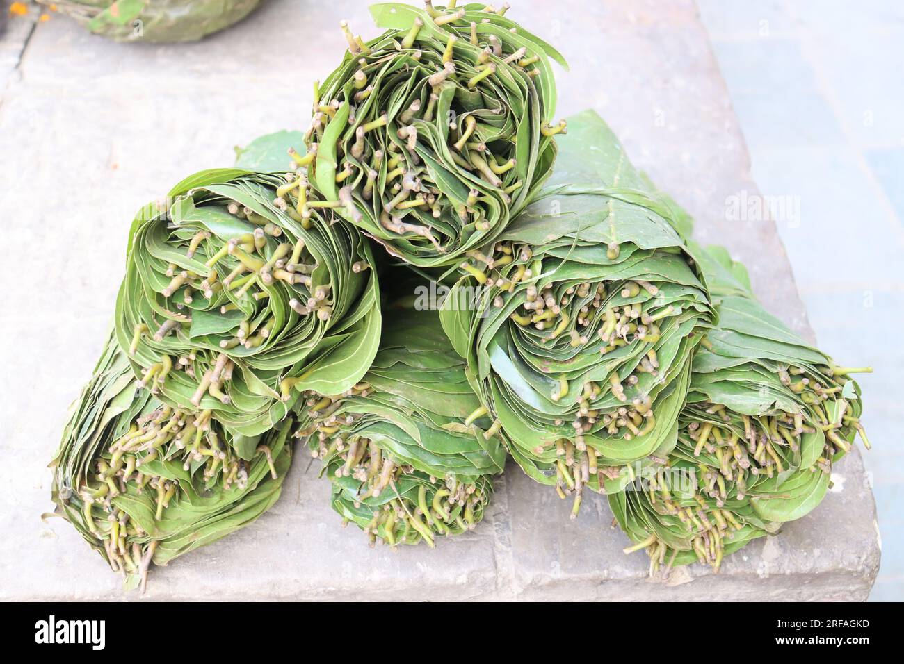 Ein Blick auf mehrere Blattbündel, die auf einem lokalen Bauernmarkt ausgestellt werden. Die Blätter von Sal Tree machten in Nepal Tapari. Stockfoto