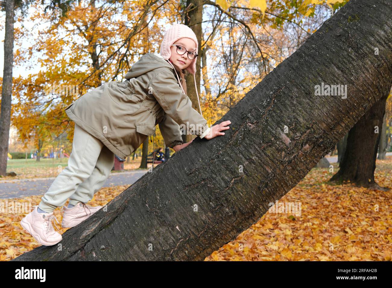 Ein Mädchen mit Brille, einem rosa Hut und einer Herbstjacke klettert in einem Herbstpark auf einen Baum. Horizontales Foto Stockfoto