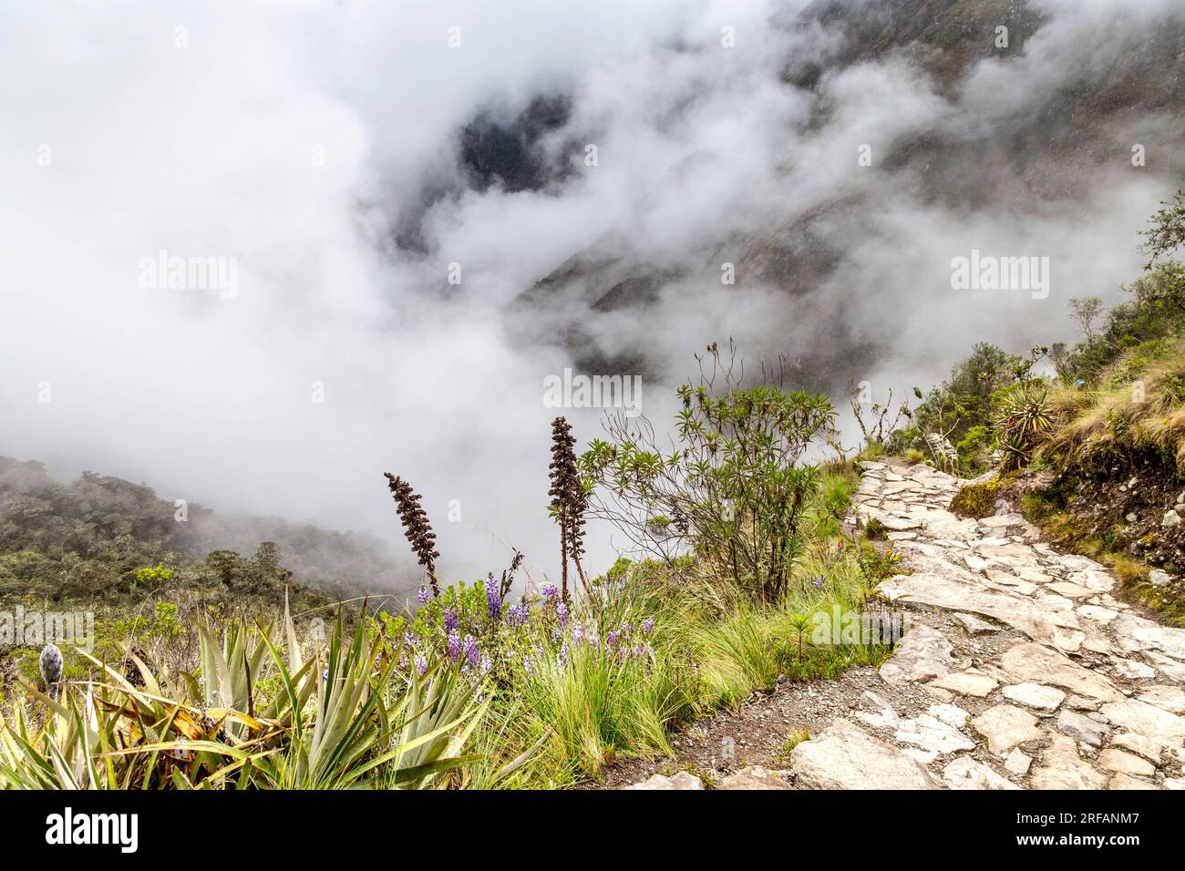 Von Wolken umhüllter Pfad entlang des Inka Trail nach Machu Picchu, Heiliges Tal, Peru Stockfoto