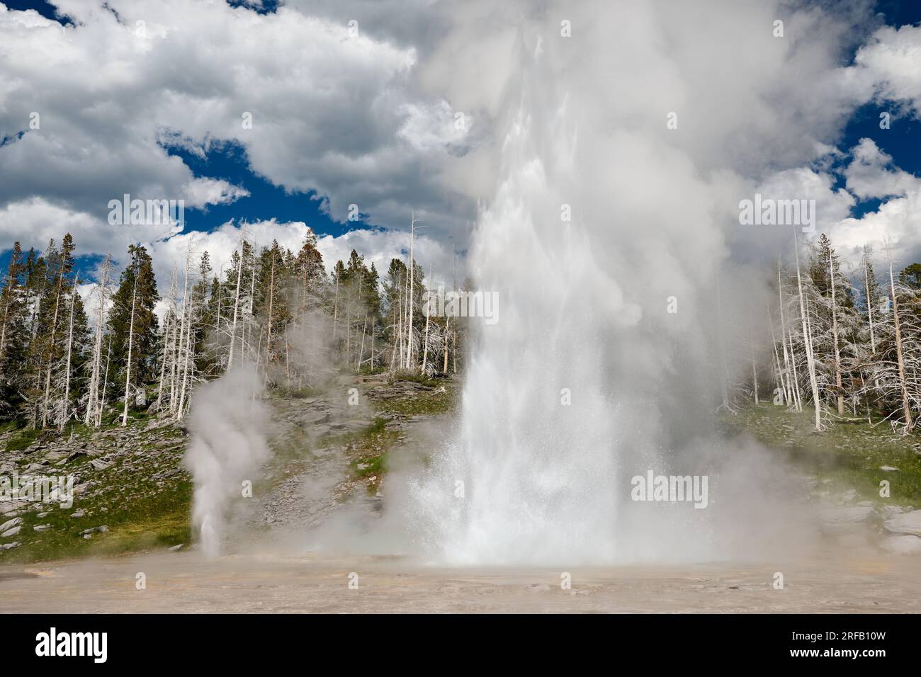 Grand Geyser, Upper Geyser Basin, Yellowstone-Nationalpark, Wyoming, Vereinigte Staaten von Amerika Stockfoto