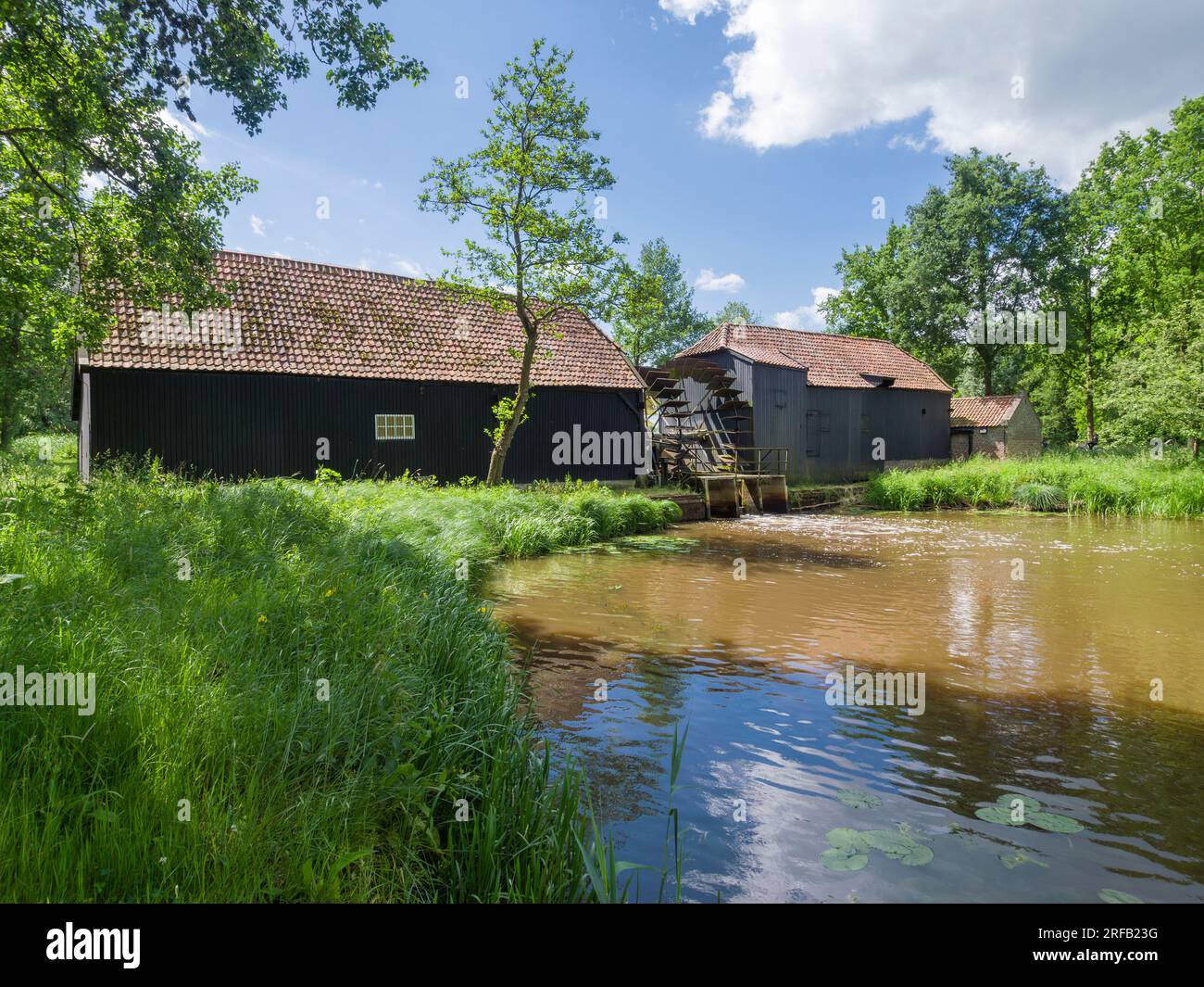 Die Wassermühle aus dem 17. Jahrhundert in Kollen am Bach kleine Dommel, berühmt für ihre Malerei von Vincent van Gogh. Eindhoven, Nordbrabant, Niederlande. Stockfoto