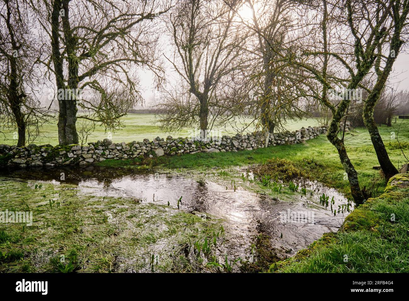 Traditionelle Steinmauer in Vila Cha da Braciosa. Miranda do Douro, Tras-os-Montes. Portugal Stockfoto