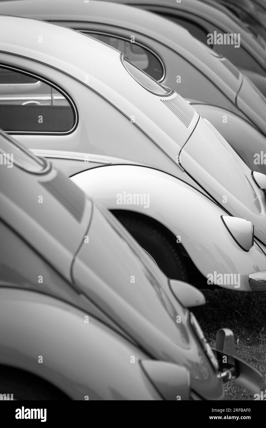Großbritannien, England, Suffolk, Lavenham, Volkswagen Car Show, VW-Käfer Stockfoto