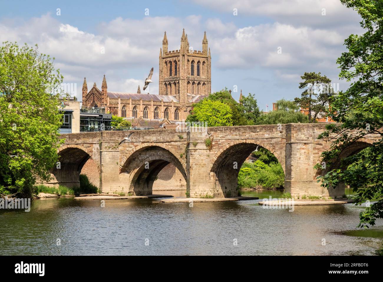 Blick entlang des Flusses Wye auf die alte St. Martin's Brücke und die Kathedrale der Heiligen Maria der Jungfrau in Hereford, Herefordshire, England, Großbritannien Stockfoto