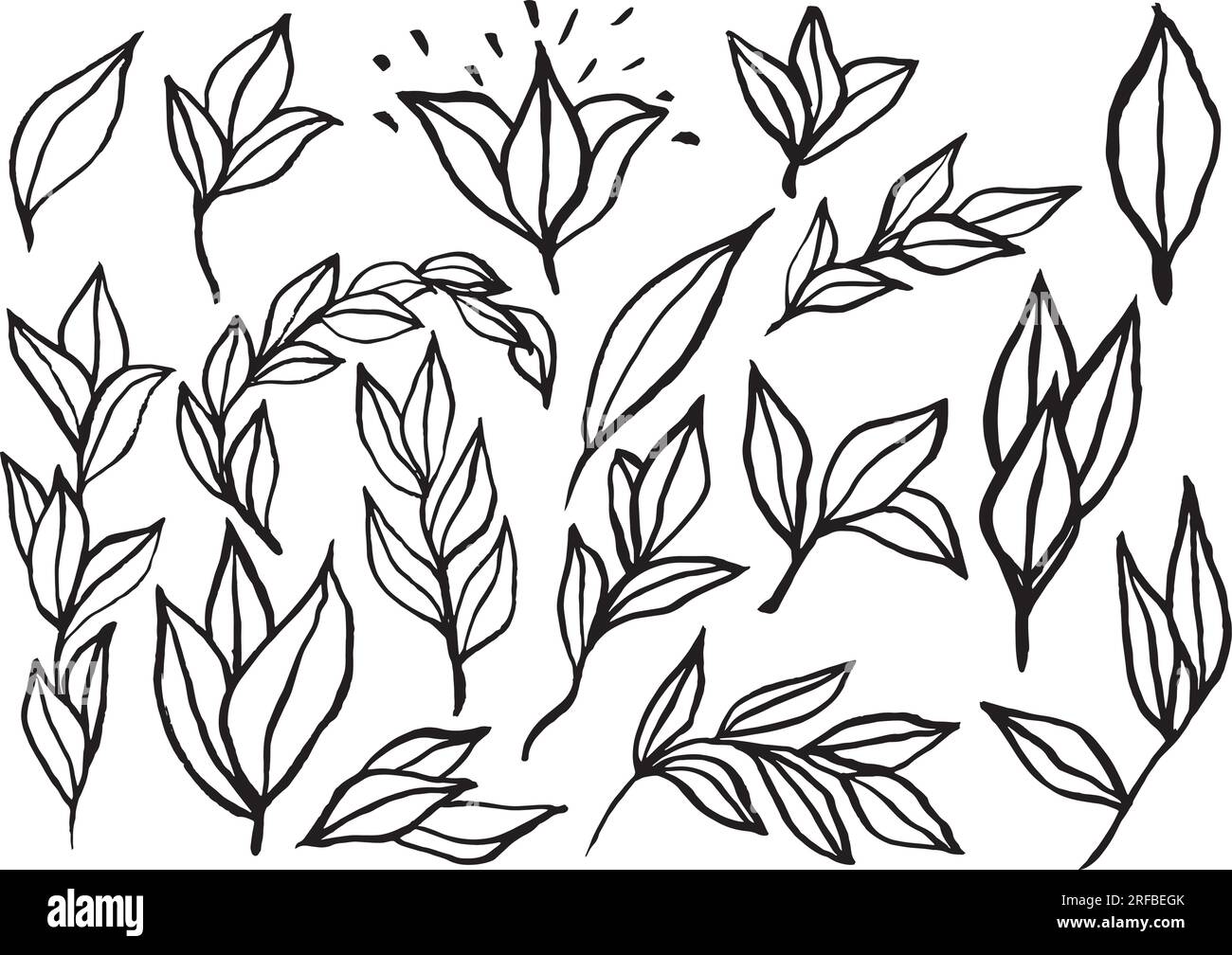 Eine Ressource minimalistischer, einfacher Blattdarstellungen mit sehr gestenförmigen Konturen für moderne und avantgardistische Designs. Linienabbildungen mit Pinsel Stock Vektor