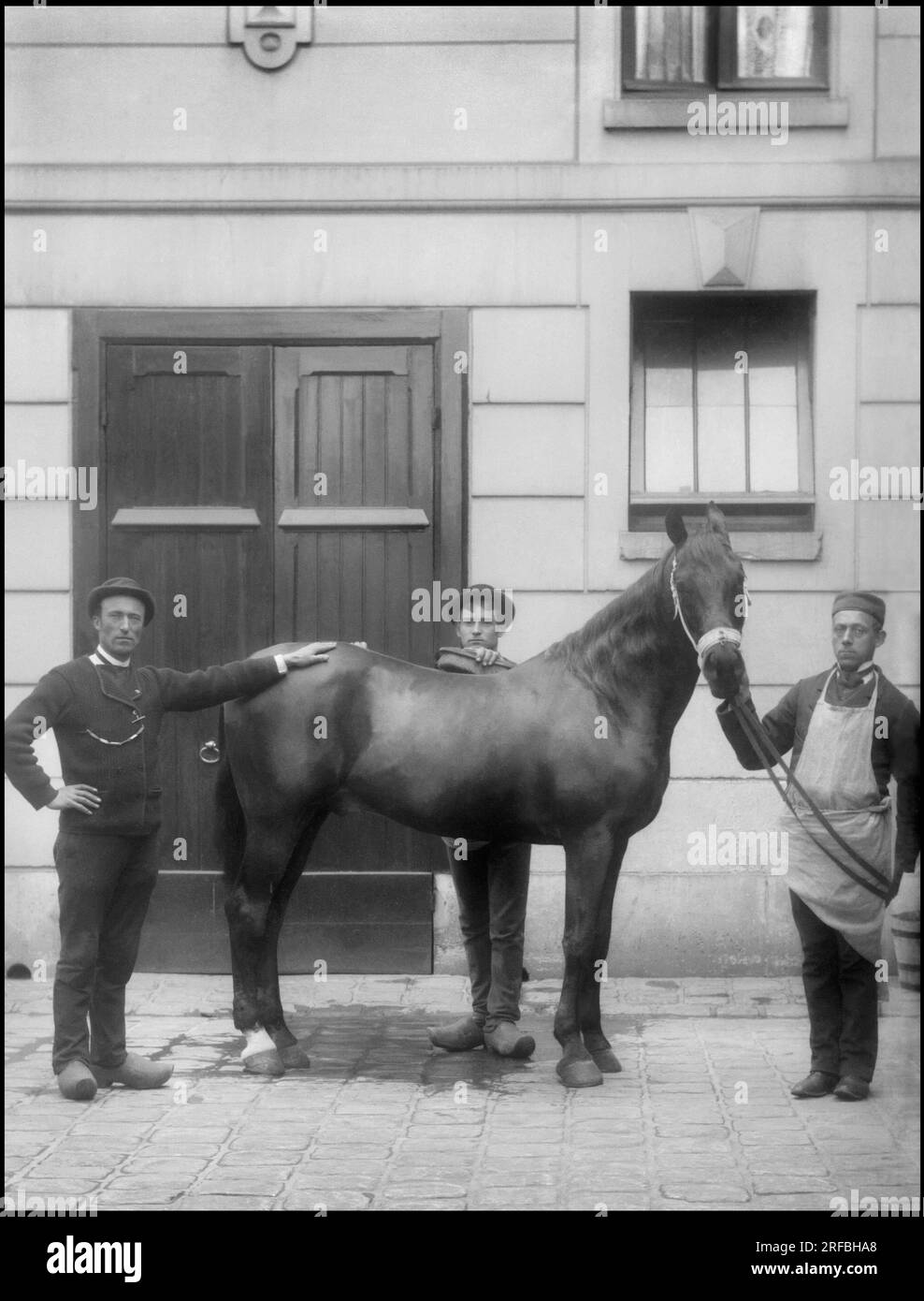 Portrait des Employes et d'un cheval du comte Ducos, ein Paris. Photographie, Vers 1870-1886, de Paul Emile Theodore Ducos (1849-1913). Stockfoto