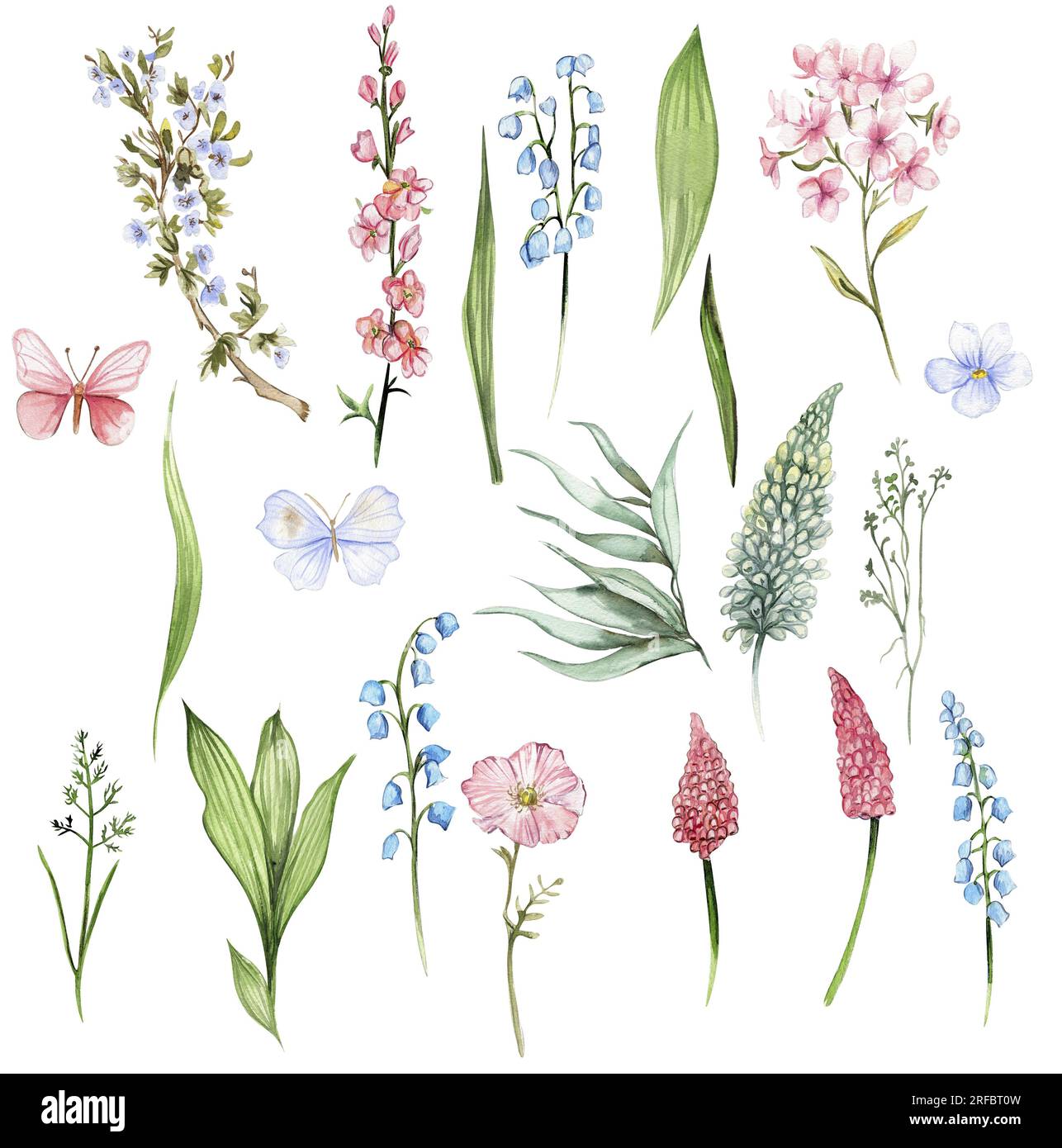 Wildblumen-Set. Handgezeichnete Aquarelle für Karten, Hintergründe, Sammelalben. Perfekt für eine Hochzeitseinladung. Stockfoto